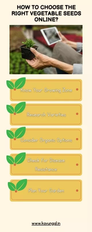 How to Choose the Right Vegetable Seeds Online