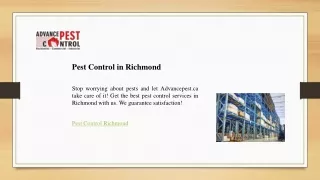 Pest Control in Richmond