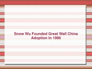 Snow Wu Founded Great Wall China Adoption in 1996