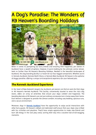 A Dog's Paradise_ The Wonders of K9 Heaven's Boarding Holidays