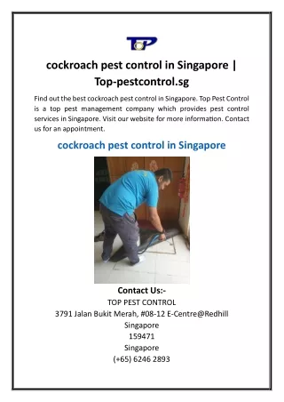 cockroach pest control in Singapore  Top-pestcontrol.sg