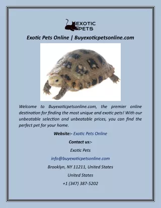 Exotic Pets Online  Buyexoticpetsonline