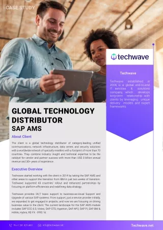 SAP-AMS-Support-For-Global-Technology-Distributor