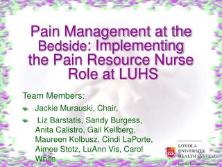 Pain Management at the Bedside : Implementing the Pain Resource Nurse Role at LUHS
