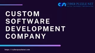 Custom Software Development Company - Cyber Puzzle Net