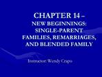 CHAPTER 14 NEW BEGINNINGS: SINGLE-PARENT FAMILIES, REMARRIAGES, AND BLENDED FAMILY