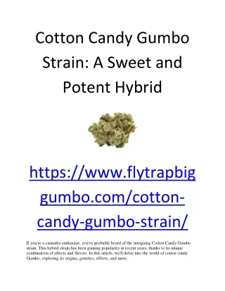 Cotton Candy Gumbo Strain