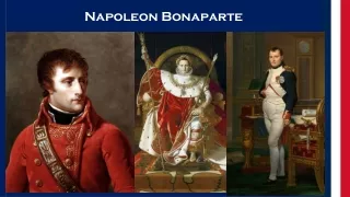 Napoleon Bonaparte 2