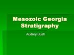 Mesozoic Georgia Stratigraphy