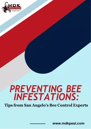 Preventing Bee InfestationsTips from San Angelo's Bee Control Experts