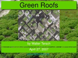 Green Roofs