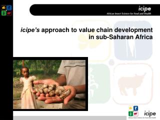 icipe’s approach to value chain development in sub-Saharan Africa