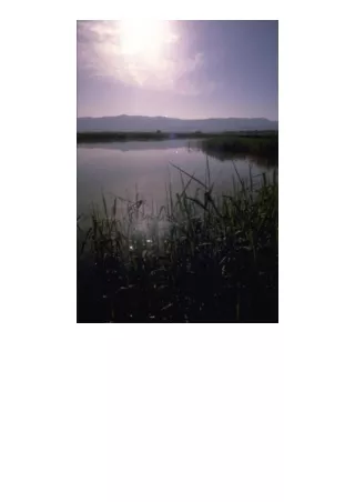 Kindle online PDF Jordan River Serenity The Jordan River At Sunset Inspirational