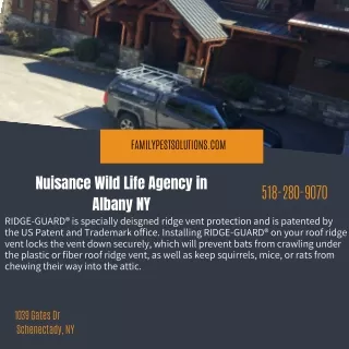Nuisance Wild Life Agency in Albany NY
