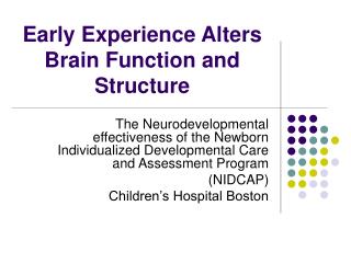 Early Experience Alters Brain Function and Structure