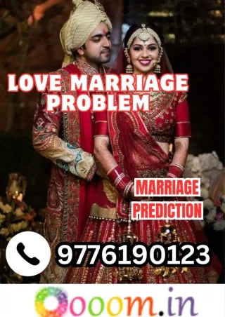 Marriage Prediction_ Love Marriage Problem