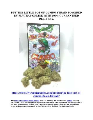 BUY THE LITTLE POT OF GUMBO STRAIN POWERED BY FLYTRAP ONLINE WITH 100