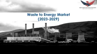 Waste to Energy Market Size, Growth and Research Report 2029.