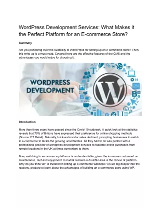 WordPress Development Services: the Perfect Platform for an E-commerce Store?