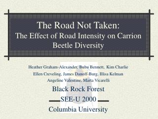 The Road Not Taken: The Effect of Road Intensity on Carrion Beetle Diversity