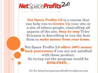 net space profits 2.0, local marketing, earn money from home