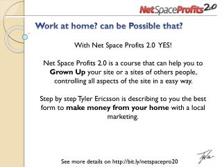 net space profits 2.0 , earning money from home?