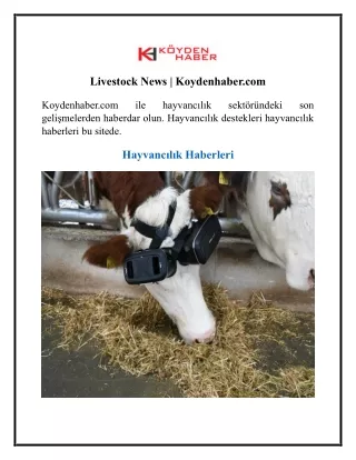 Livestock News  Koydenhaber.com