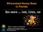 Africanized Honey Bees in Florida