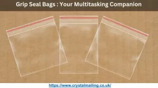 Grip Seal Bags: Your Multitasking Companion.