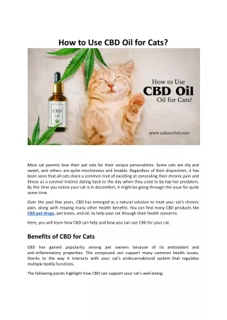 How to Use CBD Oil for Cats_