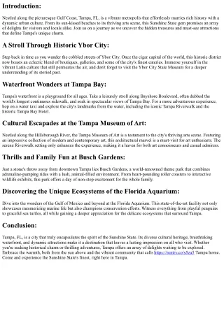 Exploring Tampa: Off-the-Beaten-Path Gems, Uncover the City's Hotspots: Attracti