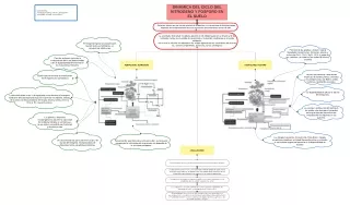 Mapa Conceptual de ciclos biogeoquimicos