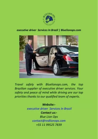 executive driver  Services In Brazil  Bluelionops.com