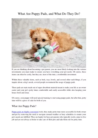 What Are Puppy Pads, and What Do They Do