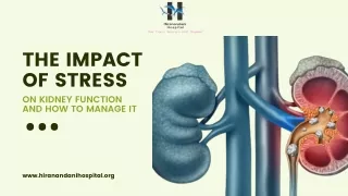 The Impact of Stress on Kidney Function and How to Manage It