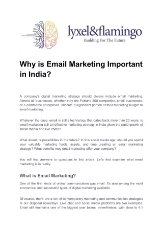 Importance of Email Marketing in India Lyxel & Flamingo