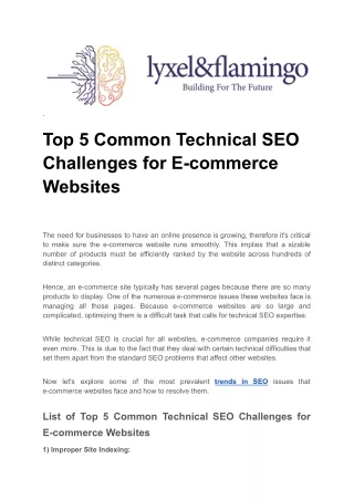 Common Technical SEO Challenges for E-commerce Lyxel & Flamingo