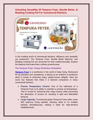 Tempura Fryer