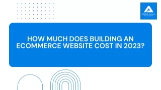 How Much Does Building an Ecommerce Website Cost in 2023