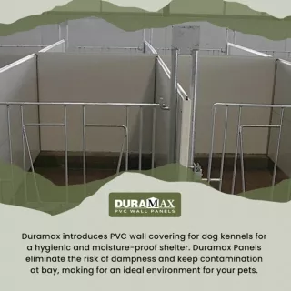 Prioritize-Hygiene-and-Cleanliness-for-your-Pets-with-PVC-Dog-Kennel-Walls