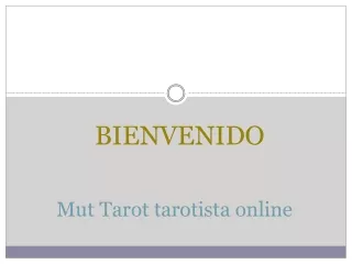 Consigue el mejor Tarotista online en Arcos