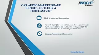 Car Audio Market