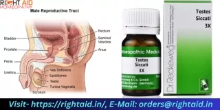 Revitalize Your Vitality with Testis Siccati 3x A Natural Solution for Enhanced Sexual Wellness in Both Genders!
