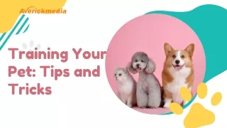 Training Your Pet Tips and Tricks