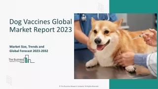 Dog Vaccines Market Outlook And Analysis Through 2023-2032