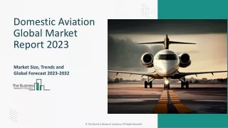 Domestic Aviation Global Market Report 2023