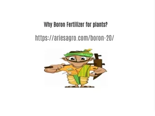 Boron Fertilizers | Aries Agro