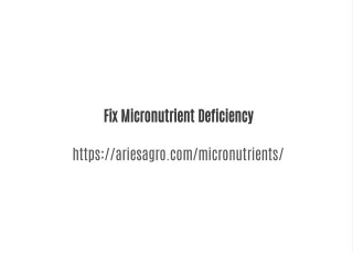 Fix micronutrient deficiencies with these products | Aries Agro