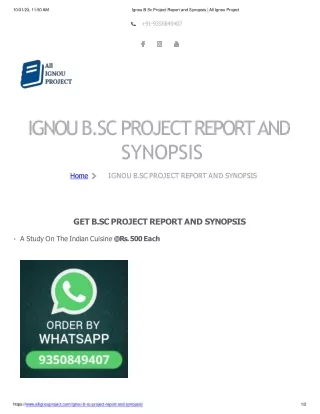 Ignou B Sc Project Report And Synopsis