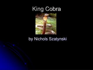 King Cobra